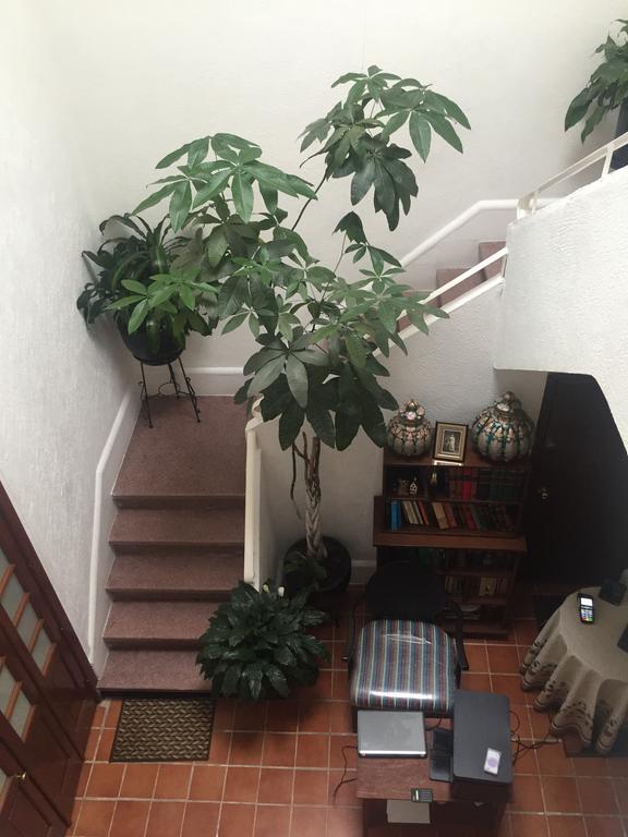 Casa Maria Elena Condesa (Adults Only) Hotel Kota Meksiko Bagian luar foto