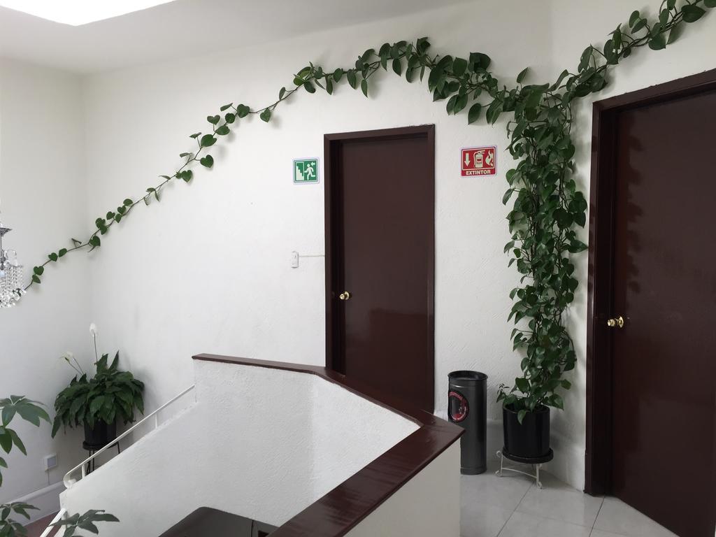 Casa Maria Elena Condesa (Adults Only) Hotel Kota Meksiko Bagian luar foto