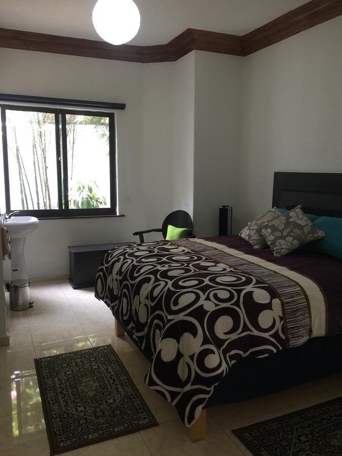 Casa Maria Elena Condesa (Adults Only) Hotel Kota Meksiko Bagian luar foto