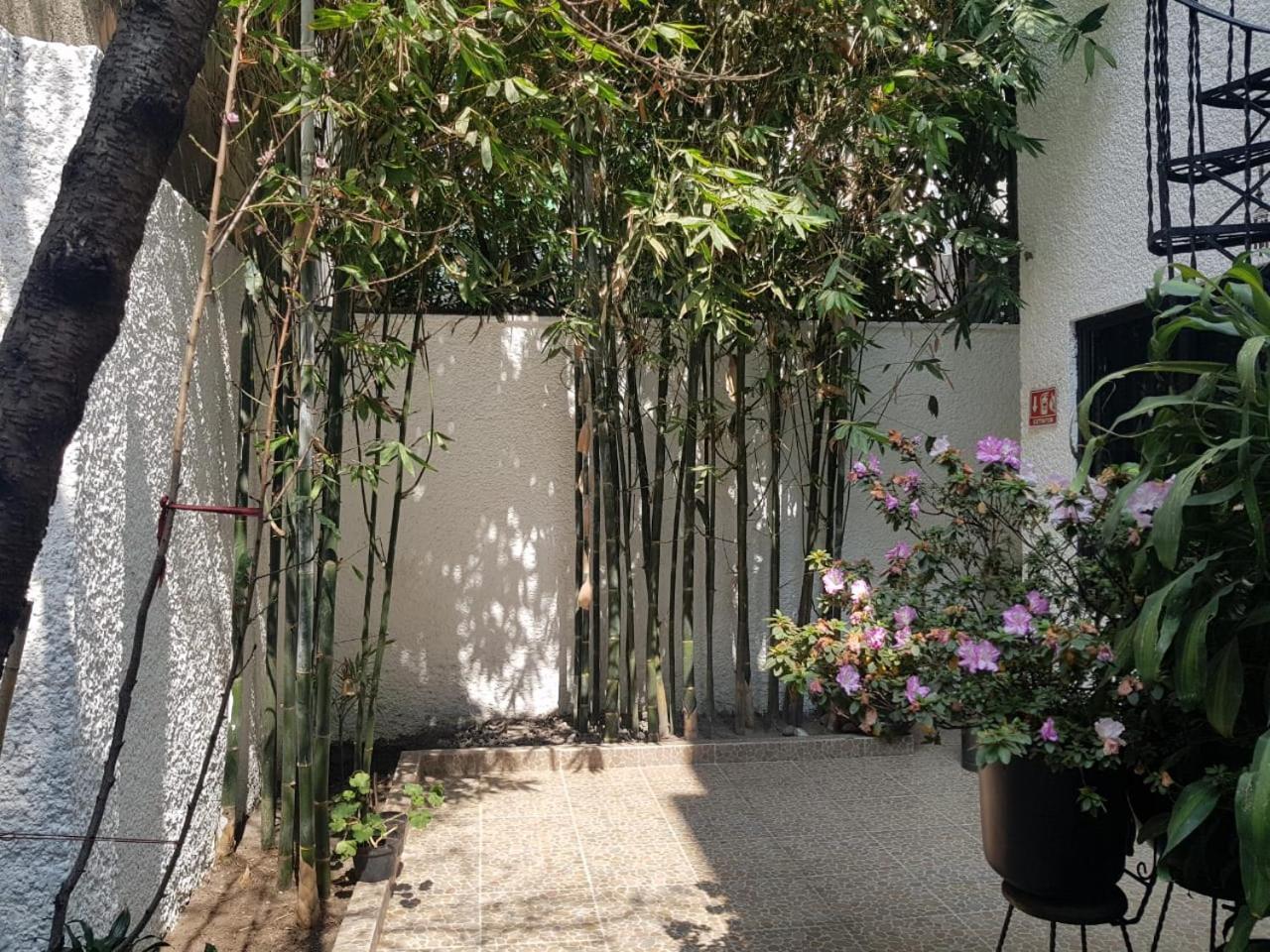Casa Maria Elena Condesa (Adults Only) Hotel Kota Meksiko Bagian luar foto